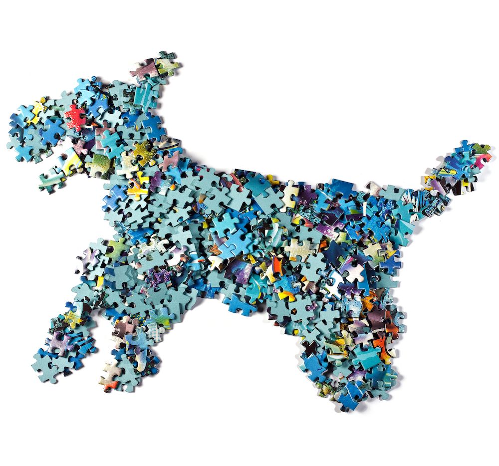 Can Dogs Have Autism?